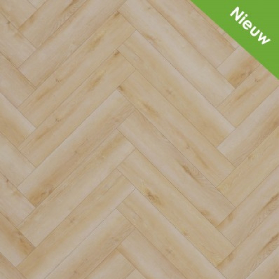 Gelasta Dynamic Visgraat 2600 (dryback) Natural light