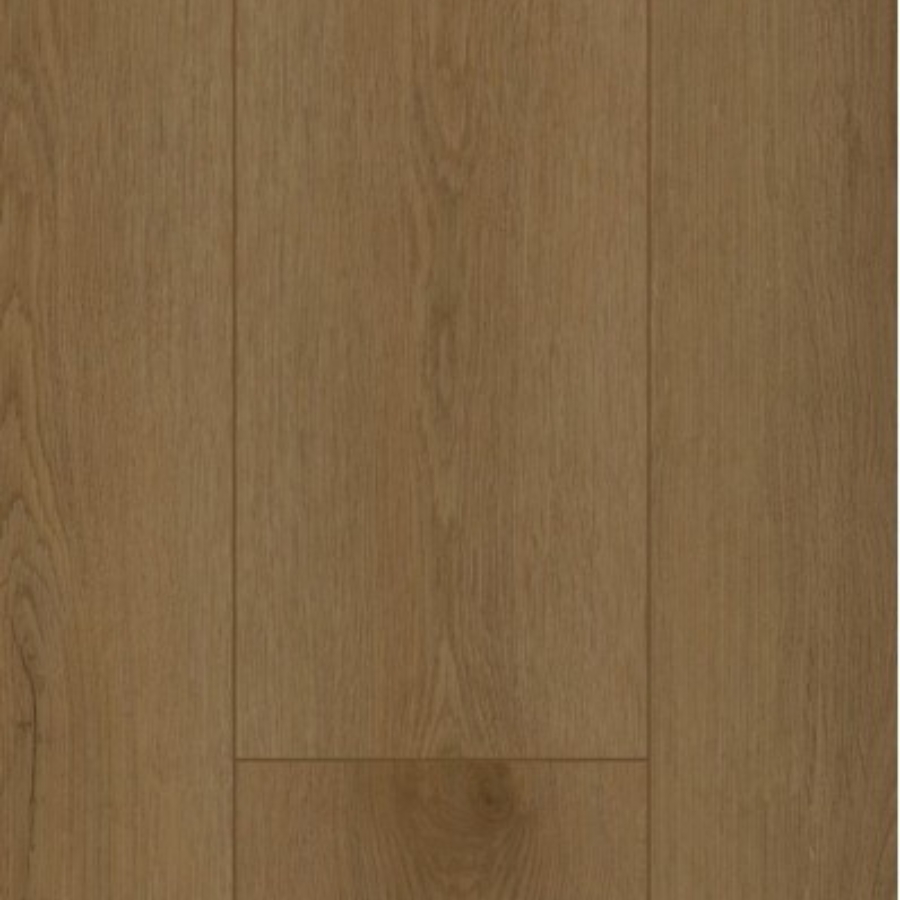 Gelasta Firmfit 6503 (dryback) Sierra Brown