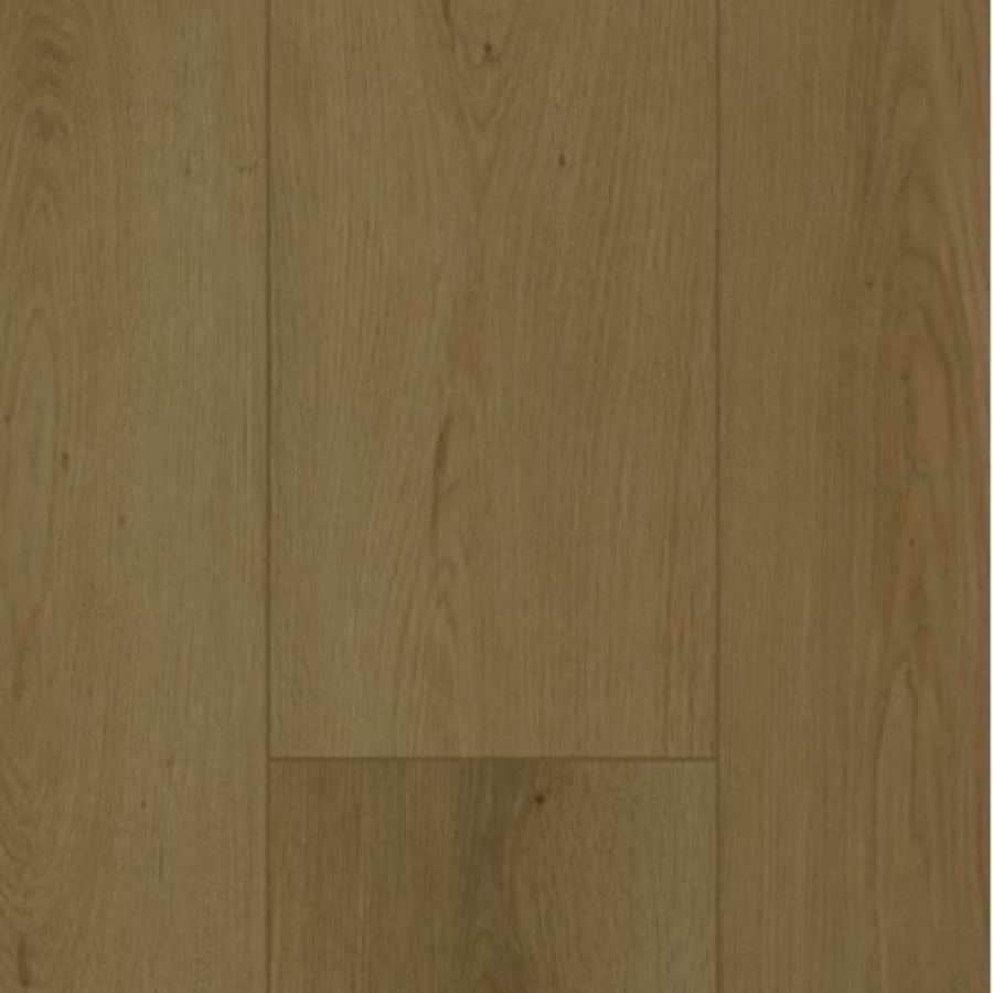 Gelasta Firmfit 6702 (dryback) Summerfield Cinnamon