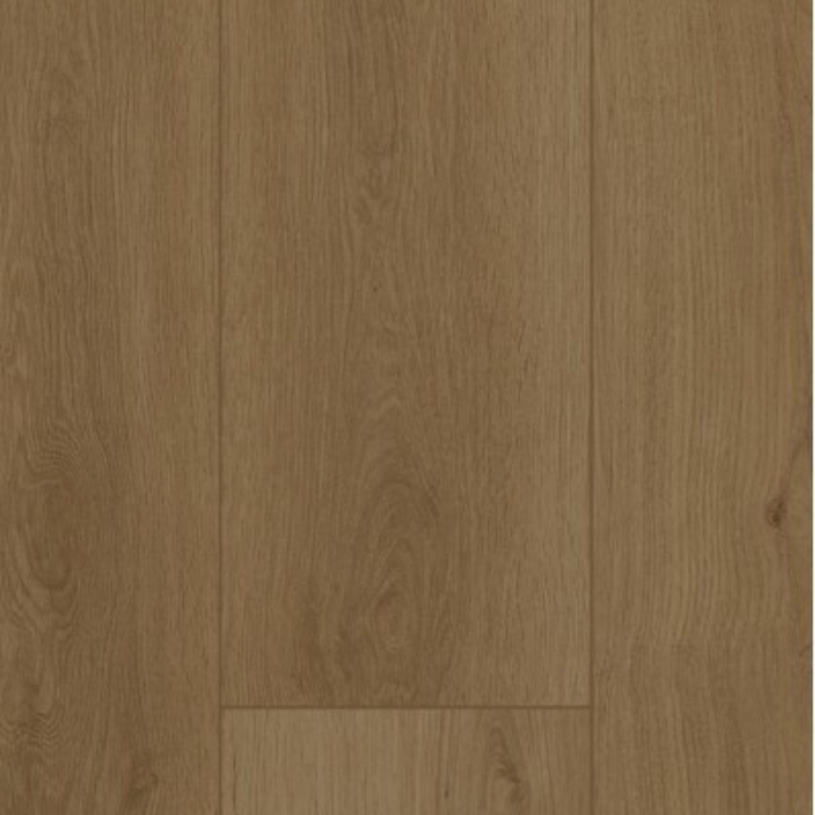 Gelasta Firmfit 6703 (dryback) Summerfield Sand