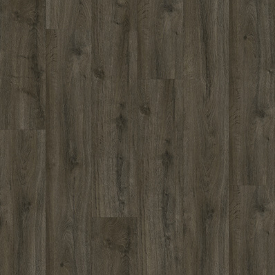 Gelasta Oakland 6106 (dryback) Soil