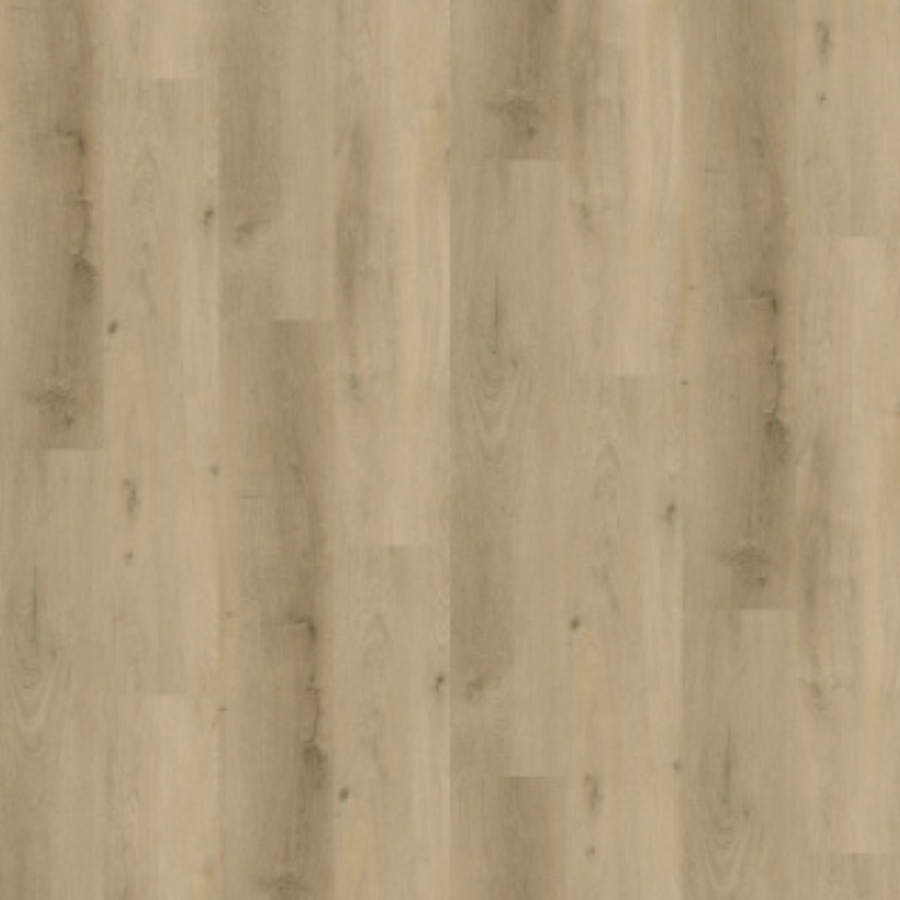 Gelasta Vario 4905 (dryback) Prestige Oak Smoked Light