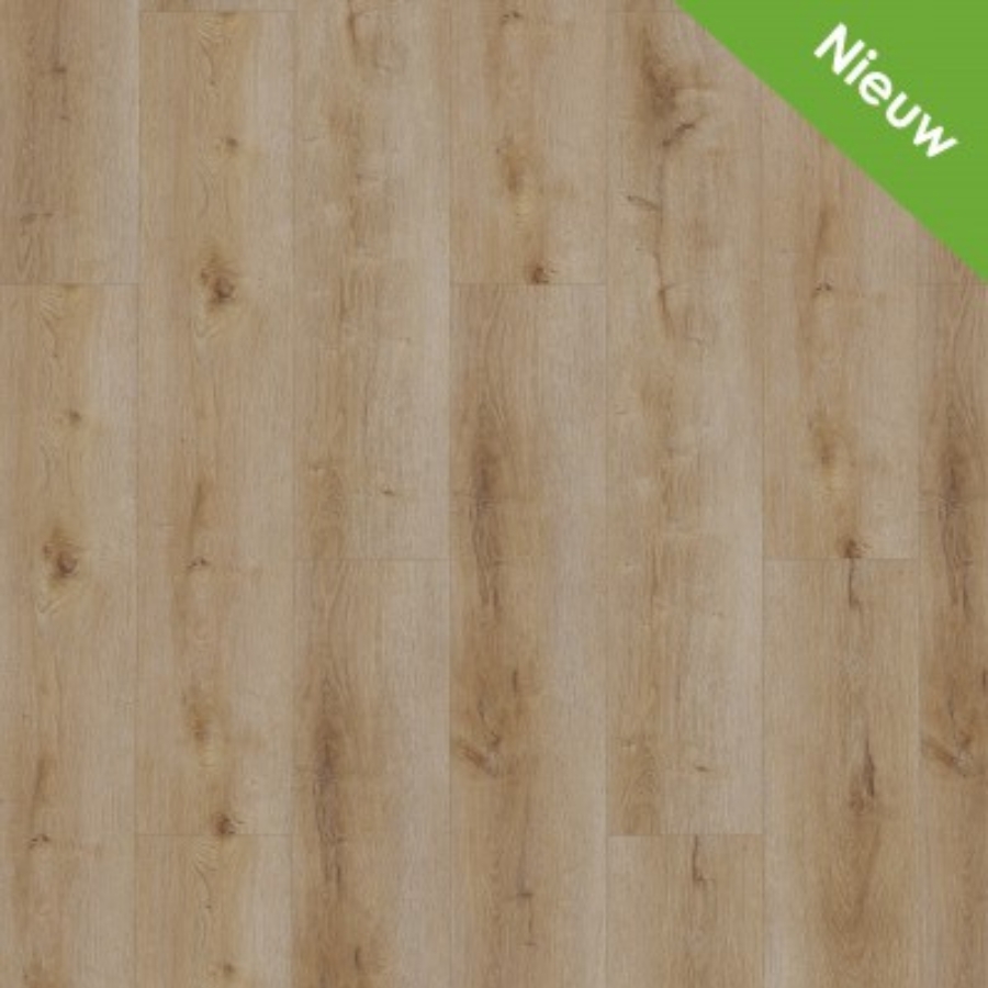 Gelasta Dynamic 2501 (dryback) Natural smoked