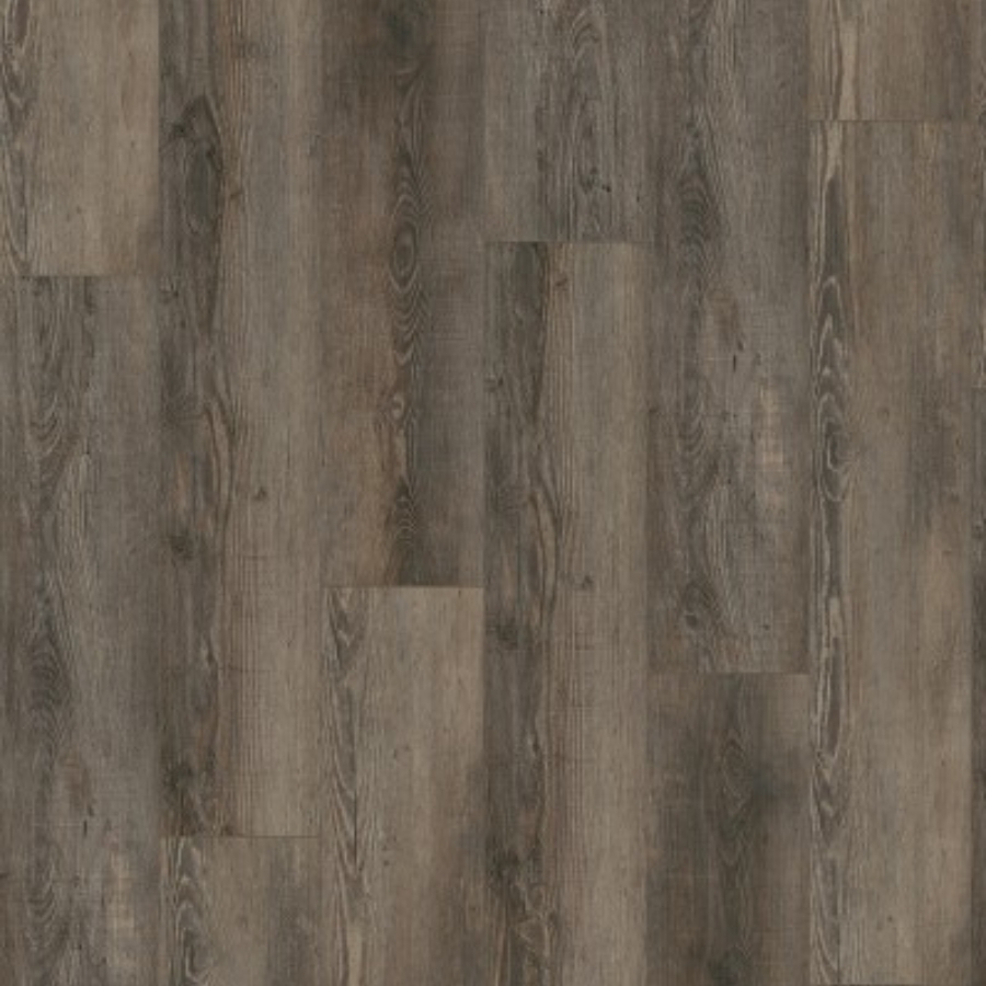 Gelasta City 4605 (dryback) Olympia Pine Brown