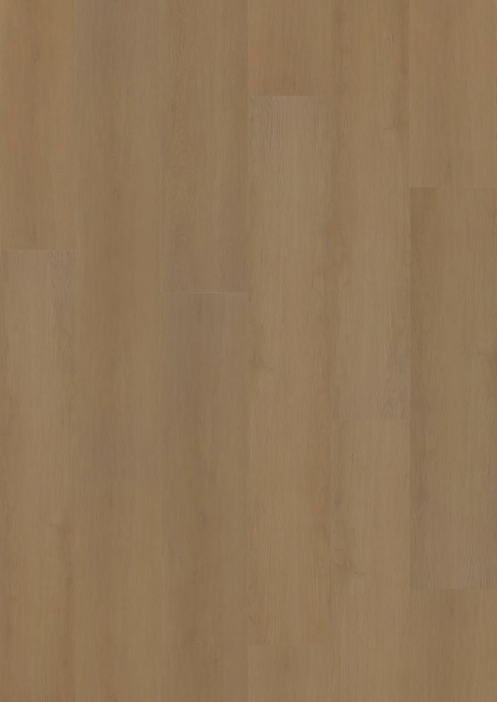 Hoomline Prestige Dryback plank Nice 5053